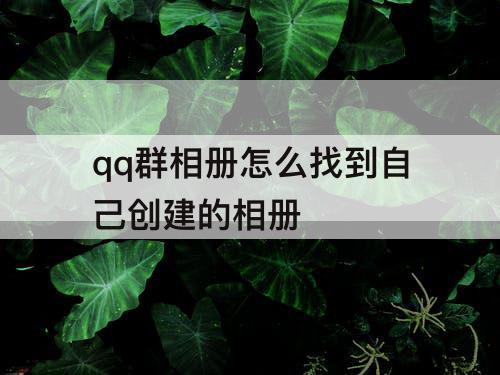 qq群相册怎么找到自己创建的相册