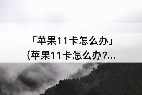 「苹果11卡怎么办」(苹果11卡怎么办?)