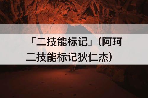 「二技能标记」(阿珂二技能标记狄仁杰)