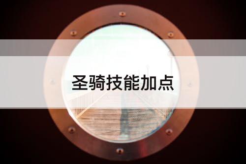 圣骑技能加点