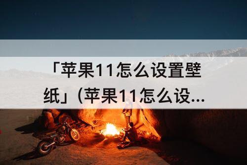 「苹果11怎么设置壁纸」(苹果11怎么设置壁纸自动更换)