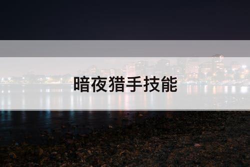 暗夜猎手技能