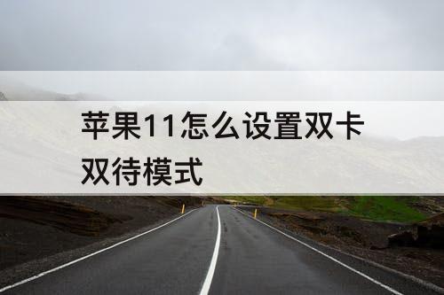 苹果11怎么设置双卡双待模式