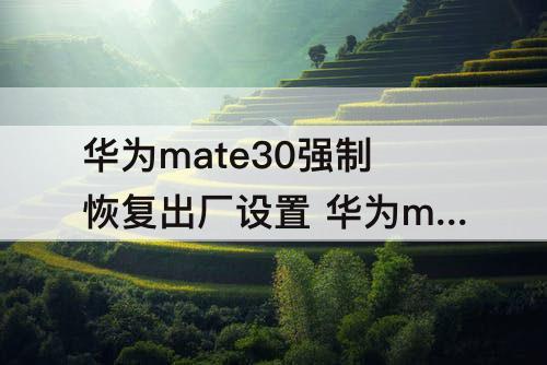 华为mate30强制恢复出厂设置 华为mate30强制恢复出厂设置需要密码吗