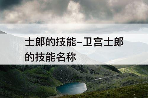 士郎的技能-卫宫士郎的技能名称