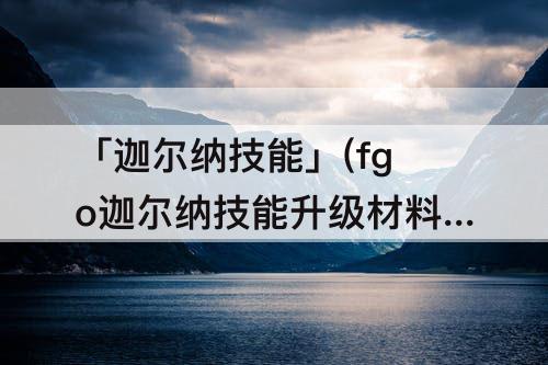 「迦尔纳技能」(fgo迦尔纳技能升级材料)