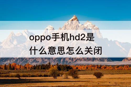 oppo手机hd2是什么意思怎么关闭