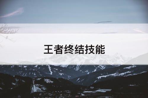 王者终结技能