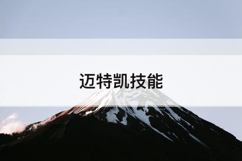 迈特凯技能