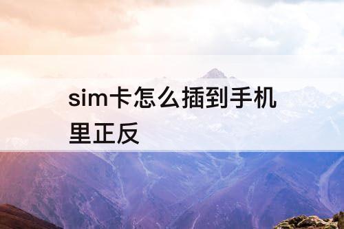 sim卡怎么插到手机里正反