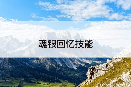 魂银回忆技能