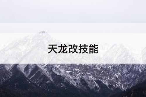 天龙改技能