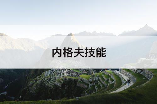 内格夫技能