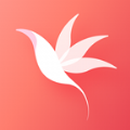 花信一对一聊天视频app