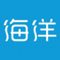 比亚迪海洋2024