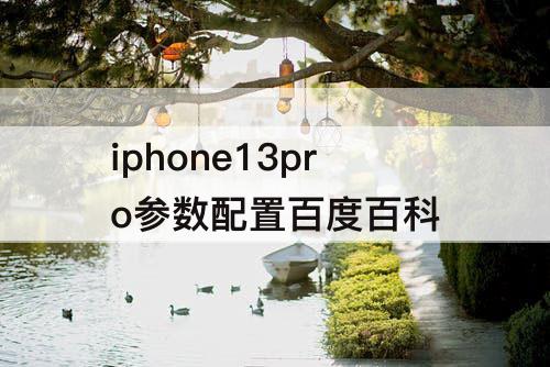 iphone13pro参数配置百度百科
