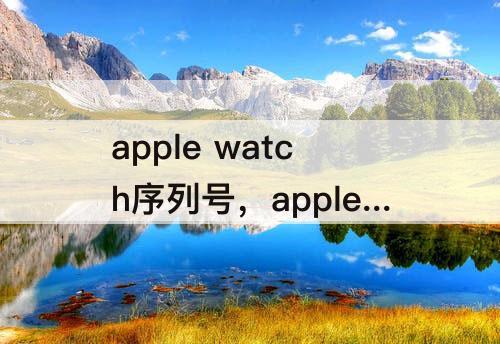 apple watch序列号，apple watch序列号在哪