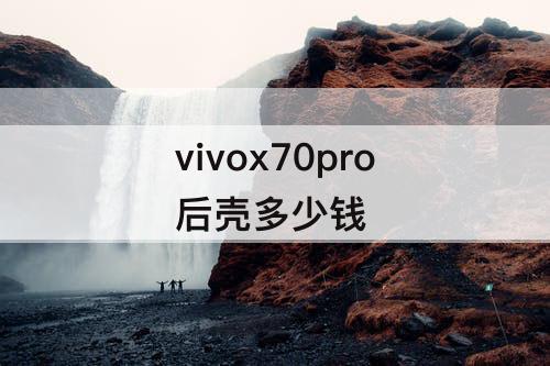 vivox70pro后壳多少钱