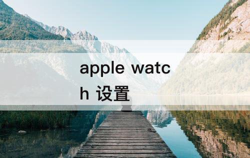 apple watch 设置