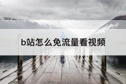 b站怎么免流量看视频