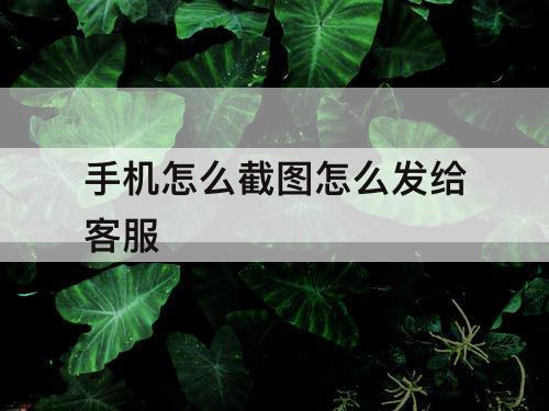 手机怎么截图怎么发给客服