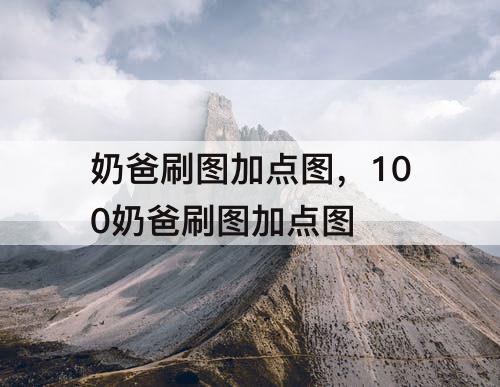 奶爸刷图加点图，100奶爸刷图加点图
