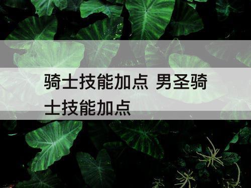骑士技能加点 男圣骑士技能加点