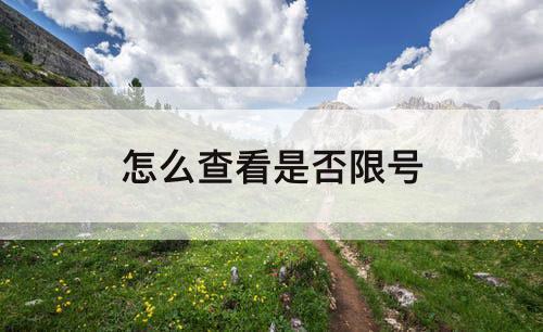 怎么查看是否限号