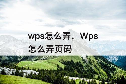 wps怎么弄，Wps怎么弄页码