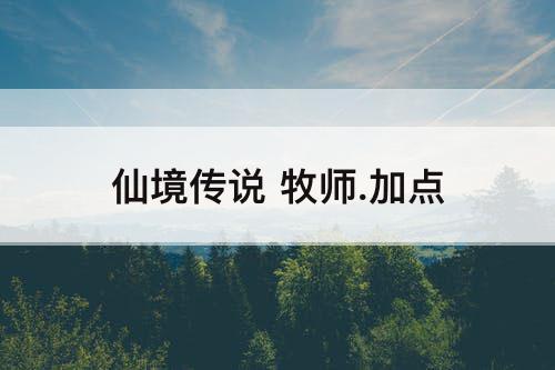 仙境传说 牧师.加点