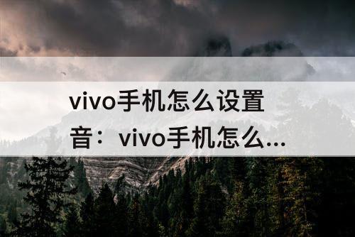 vivo手机怎么设置音：vivo手机怎么设置音乐跑马灯