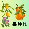 果种忙安卓版