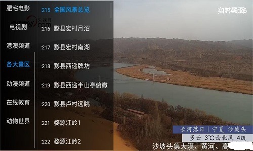 疯子TV安卓版