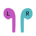 一对音乐app