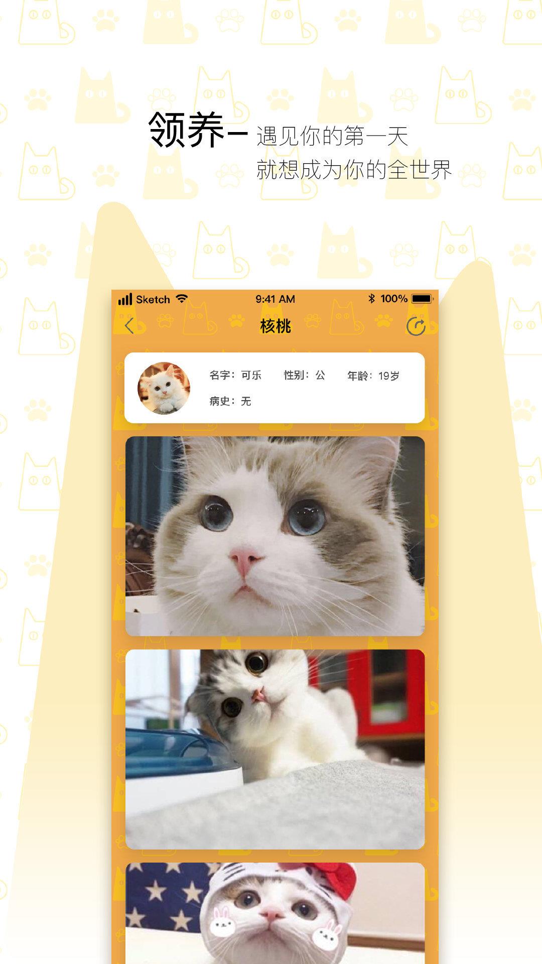 我要猫截图