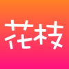 花枝最新版