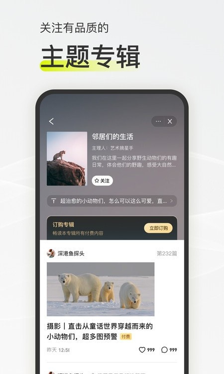 迷岛社交2024截图