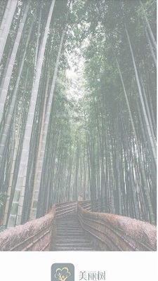 美丽树贷款截图