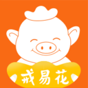 戒易花2023