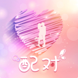 配对安卓版
