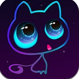 猫咪社交2023