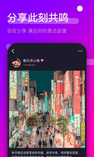 时倾sq下载