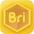 Bricube学生2024