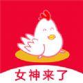 赛客交友网下载安装