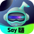 Say嗨元宇宙最新版