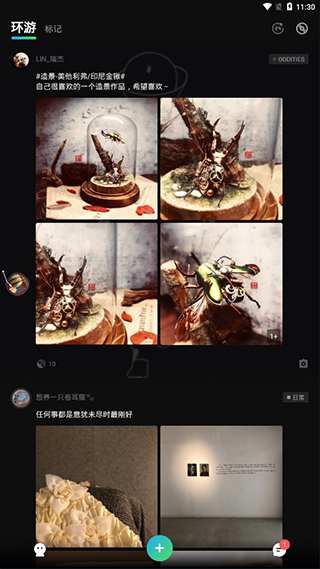 辐射岛安卓版中文版