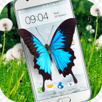 Butterfly in phone lovely joker