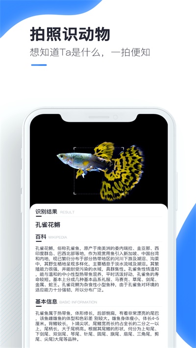 百科扫描王免费版下载官网安卓手机软件安装