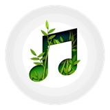 我的放松音乐手机版下载免费