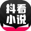 抖看小说2024